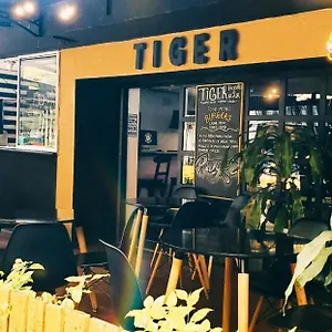  Auberge de jeunesse Tiger